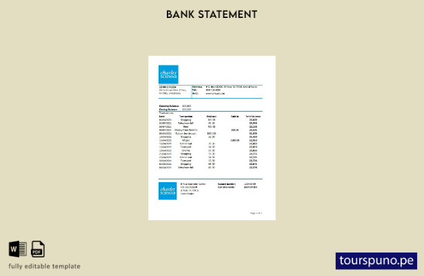 listo para imprimir plantilla de Excel de extracto bancario de Charles Schwab & 